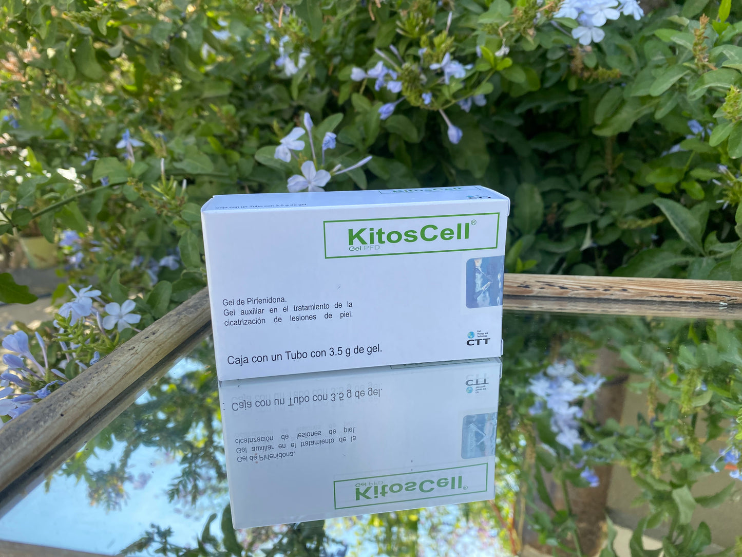 KitosCell